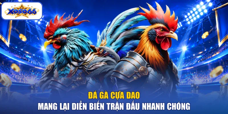 Đá gà cựa dao mang lại diễn biến trận đấu nhanh chóng