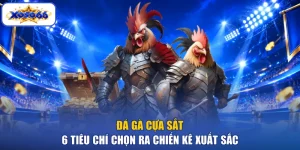 Đá Gà Cựa Sắt - 6 Tiêu Chí Chọn Ra Chiến Kê Xuất Sắc