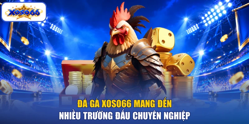Đá gà XOSO66 mang đến nhiều trường đấu chuyên nghiệp
