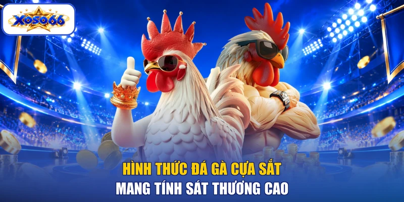 Hình thức đá gà cựa sắt mang tính sát thương cao