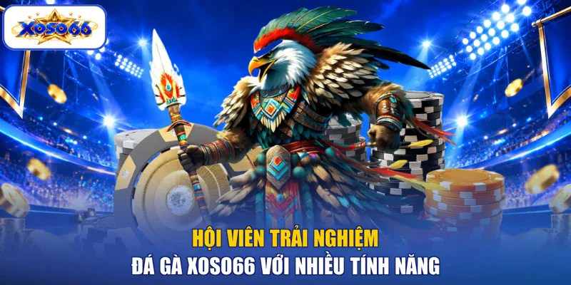 Hội viên trải nghiệm Đá gà XOSO66 với nhiều tính năng