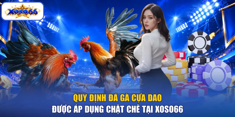 Quy định đá gà cựa dao được áp dụng chặt chẽ tại XOSO66